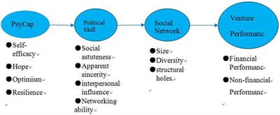 Social Entrepreneur’s Psychological Capital, Political Skills, Social Networks and New Venture Performance